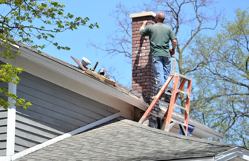 Chimney & Fireplace Inspections Services in Immokalee, FL